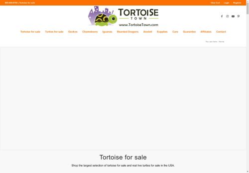 Tortoise Town capture - 2024-07-31 12:25:07