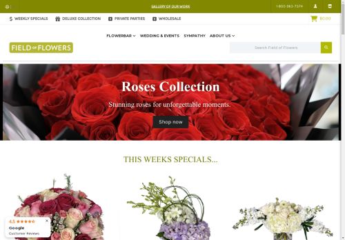 thefieldofflowers.com capture - 2024-08-15 15:31:12