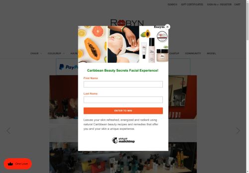 robynryan.com capture - 2024-08-16 00:21:36