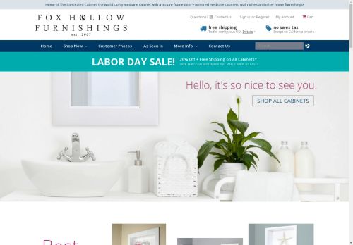 medicinecabinetnomirror.com capture - 2024-08-23 01:54:27