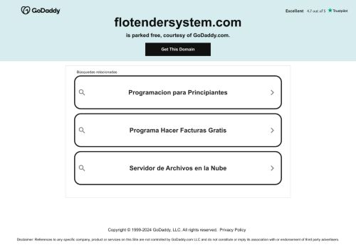 flotendersystem.com capture - 2024-08-24 02:17:39