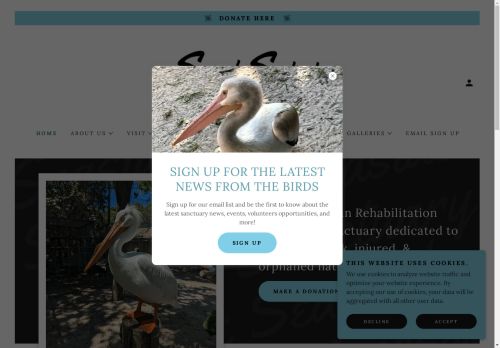 seasideseabirdsanctuary.com capture - 2024-08-24 03:17:43