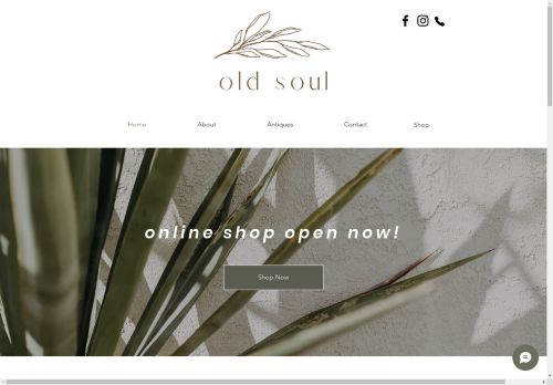 oldsoulmarysville.com capture - 2024-08-26 02:46:40