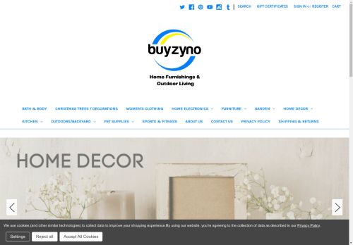 buyzyno.com capture - 2024-08-26 06:25:05