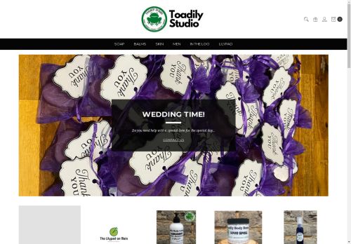 toadily.shop capture - 2024-08-27 02:37:47