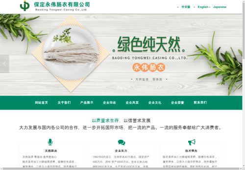 yongweicasing.com capture - 2024-08-27 08:37:59