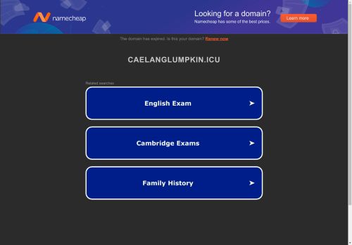 caelanglumpkin.icu capture - 2024-08-27 13:45:14