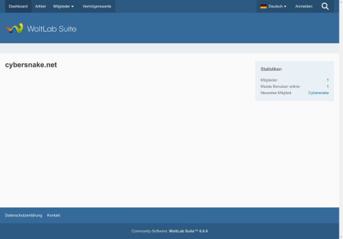 cybersnake.net capture - 2024-08-27 14:26:25