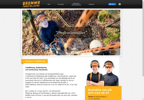 brommatradfallning.se capture - 2024-08-27 15:53:57