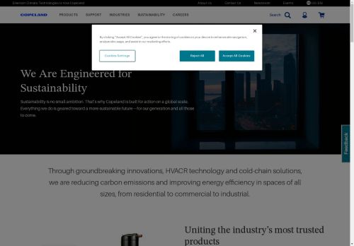 blueselecto.com capture - 2024-08-28 14:36:30