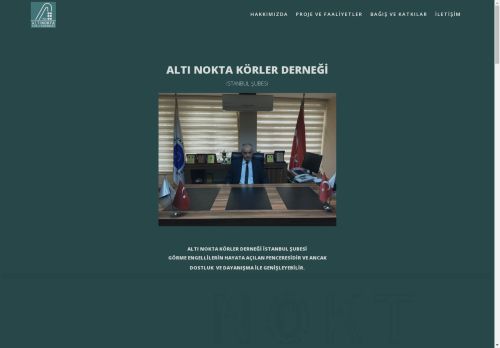 altinoktaistanbul.com capture - 2024-08-29 18:19:20