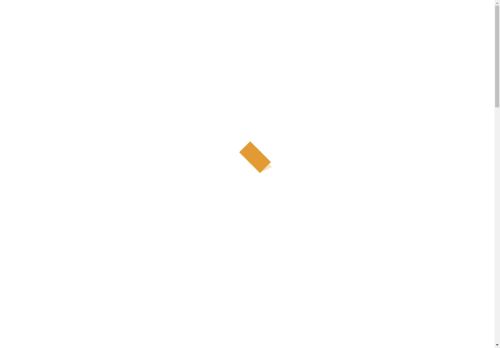 steenplaat.com capture - 2024-08-30 16:21:37