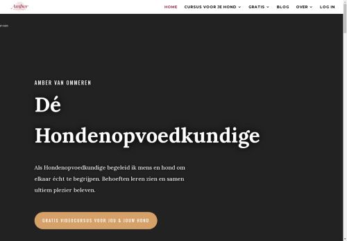 moviacademy.com capture - 2024-08-31 01:37:39