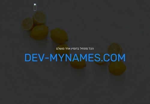 dev-mynames.com capture - 2024-09-01 19:07:14