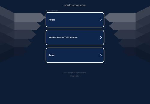 south-amon.com capture - 2024-09-01 23:34:47
