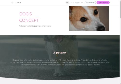 dogsconcept.net capture - 2024-09-02 13:30:59