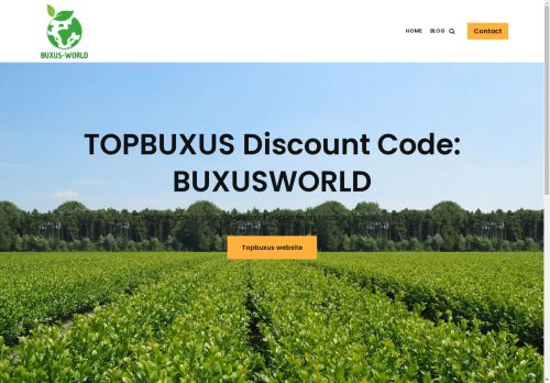 buxus-world.co.uk capture - 2024-09-03 23:27:42