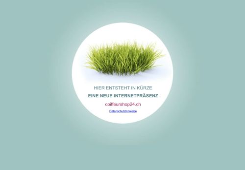 coiffeurshop24.ch capture - 2024-09-04 06:25:37