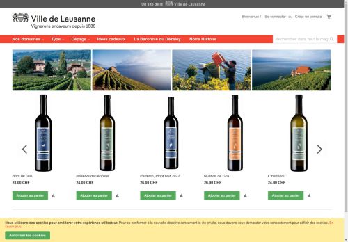 domainesdelaville.ch capture - 2024-09-04 12:00:43