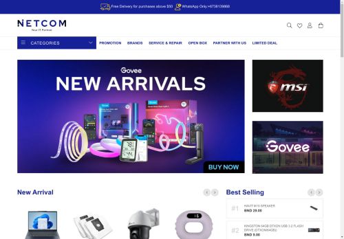 netcomwebsite.com capture - 2024-09-04 18:15:33