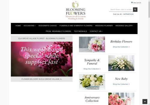 ebloomingflowers.com capture - 2024-09-04 19:04:06