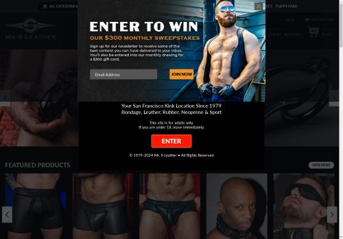 mrsdungeons.com capture - 2024-09-05 05:45:56