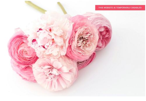 flowersbysandy.com capture - 2024-09-05 18:13:40