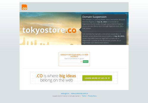 Tokyo Store capture - 2024-09-06 01:45:36