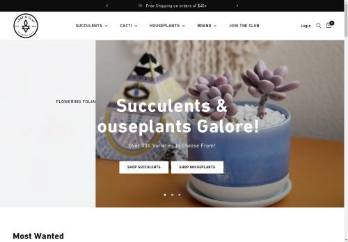 Leaf & Clay capture - 2024-09-06 06:25:14