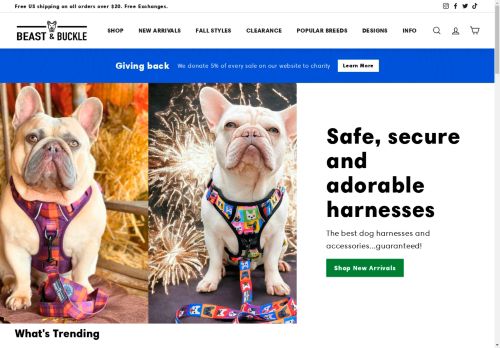 Beast & Buckle capture - 2024-09-06 13:44:49