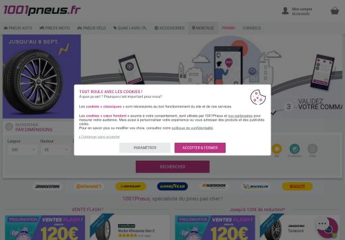 1oo1-pneus.net capture - 2024-09-08 04:42:04