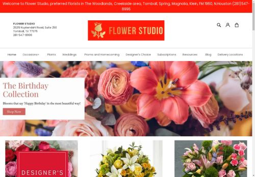 flowerstudios.net capture - 2024-09-08 06:48:36