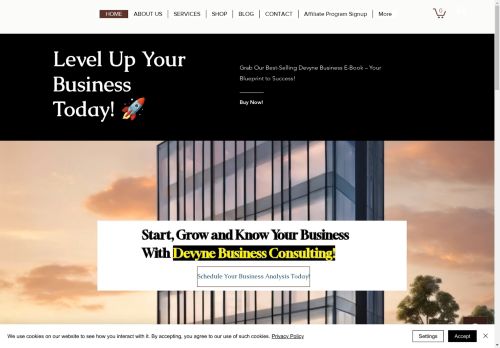 Devyne Business Consulting capture - 2025-04-09 20:49:32