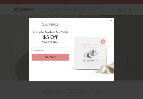 Silverette Usa capture - 2025-04-09 22:54:18