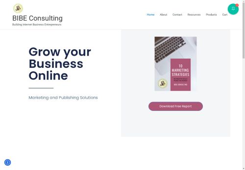 BIBE Consulting capture - 2025-04-09 22:55:30