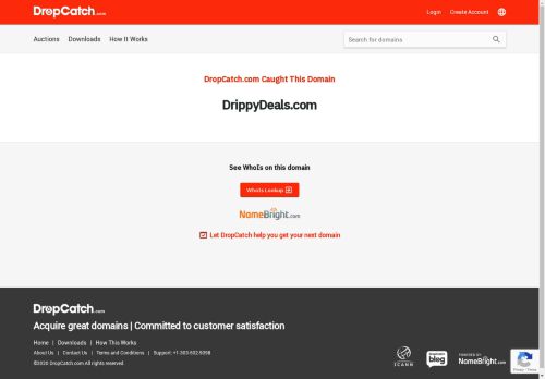 Drippy Deals capture - 2025-04-10 00:43:52