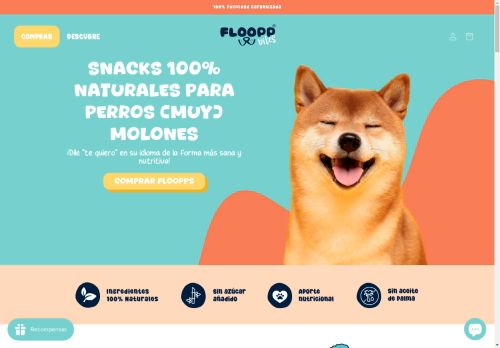 FlooppBITES capture - 2025-04-10 03:22:28