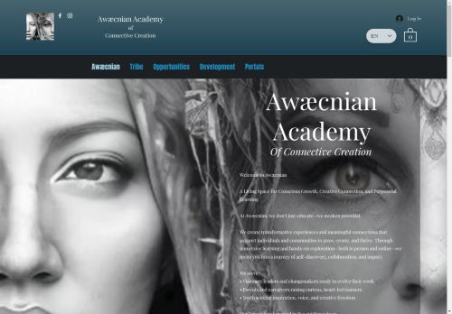 Awaecnian Academy capture - 2025-04-10 04:20:20