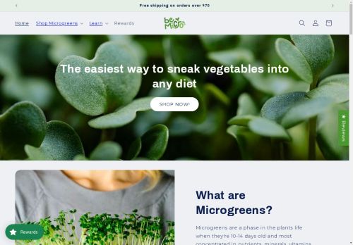 BeMicro capture - 2025-04-10 05:59:53