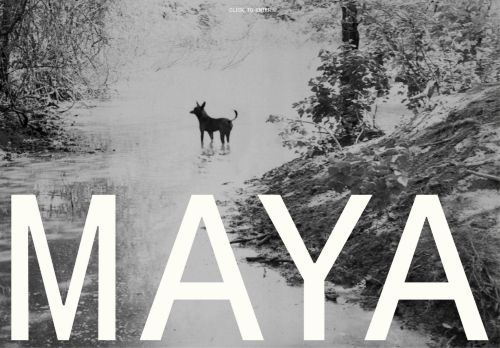 officeofmaya.com capture - 2025-04-10 06:14:22