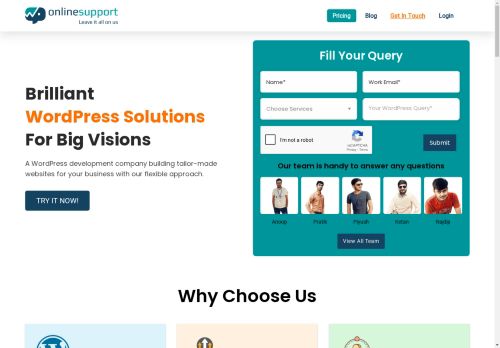 WPOnlineSupport capture - 2025-04-10 10:55:52