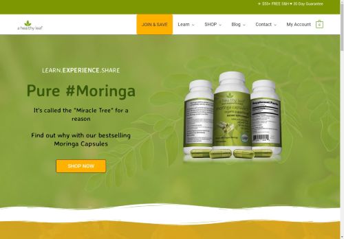 A Healthy Leaf capture - 2025-04-10 12:52:20