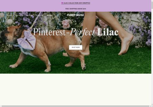 Furry Muse capture - 2025-04-10 17:03:24