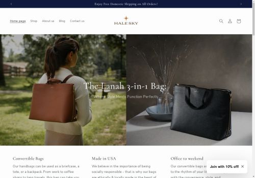 Hale Sky capture - 2025-04-10 21:07:37