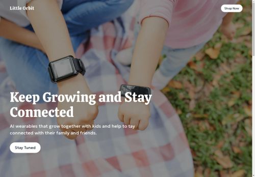 Thelittleorbit.com capture - 2025-04-10 21:18:08