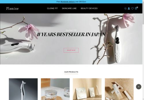 Plamine capture - 2025-04-10 21:23:39