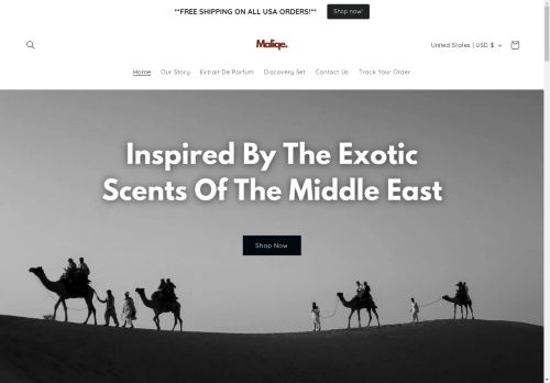 Maliqe capture - 2025-04-10 21:32:47