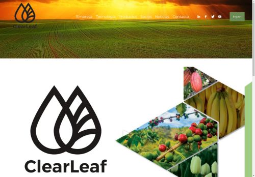 ClearLeaf capture - 2025-04-10 21:44:39