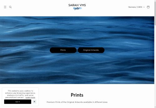 Sarah Vms Art capture - 2025-04-10 21:50:56