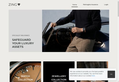 Zing Cover capture - 2025-04-10 21:58:14